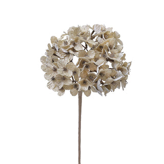 XH1977 Rama Hortensia Champaña 15cm. (D) x 50cm. (L)