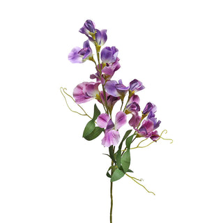 YS0551M Rama Guisante Dulce Morado 63cm.
