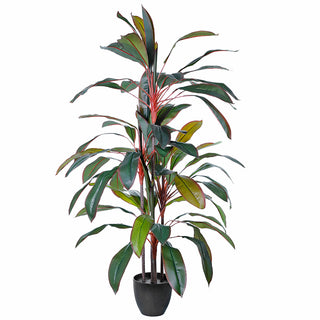 AL0155 Arbol Dracaena Roja En Maceta 130 Cm