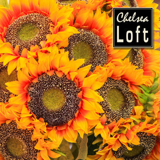 GT9419O Girasol Naranja 75 cm.