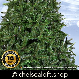 TT110 Pino Bristle Cone Fir 1,843 Puntas 167(D)X274(A) Cm.