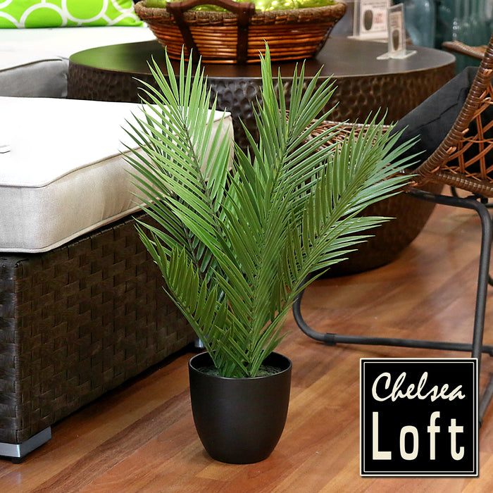 AL0133 Palma Areca en Maceta 60 cm.