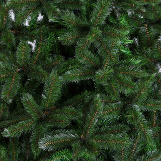 TT110 Pino Bristle Cone Fir 1,843 Puntas 167(D)X274(A) Cm.