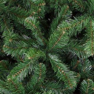 TT123 Pino Scandia Spruce 4,258 Puntas 210(D)X365(A) Cm.