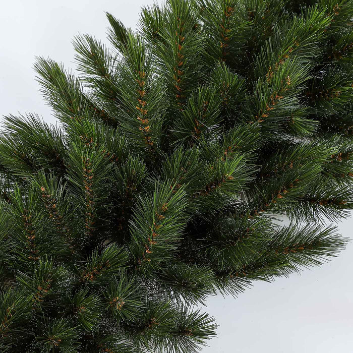 TT127 Centro Forest Frosted 40(D)X95(L) Cm.