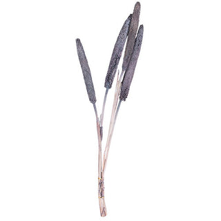 VI748 Follaje Bazra 82 cm .
