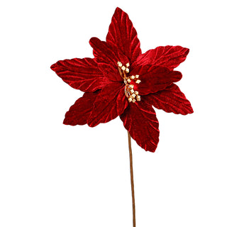 XH19C  Nochebuena Terciopelo Vino Chica 26(D)X46(A) Cm.