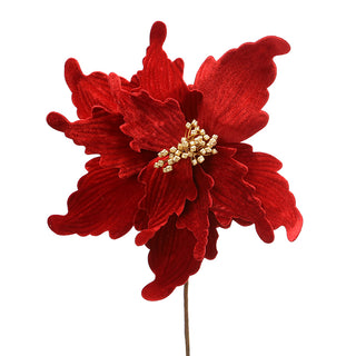 XH245M  Nochebuena Espiral Terciopelo Rojo Mediana 37(D)X37(A) Cm.