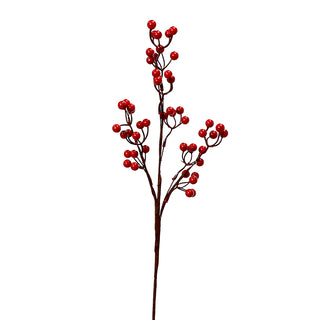 XH426 Rama Berries Frost 67 Cm.