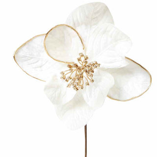 XH496CO Magnolia Grande Crema C/Orilla Oro 30(D)X60(A) Cm.