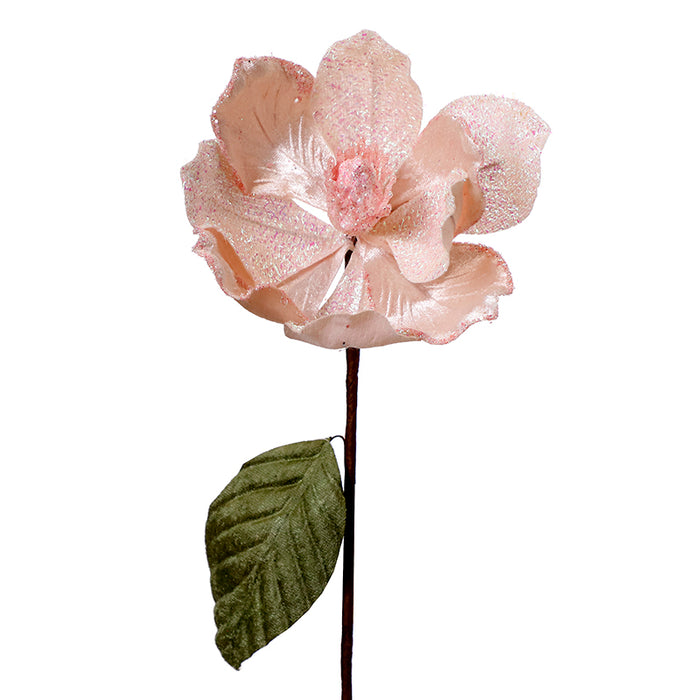 XH634RS Magnolia Rosa Champaña 22(D)X43(A) Cm.