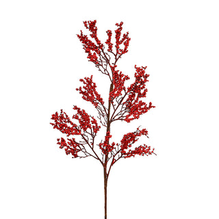 XH743 Rama Berries 70 cm.