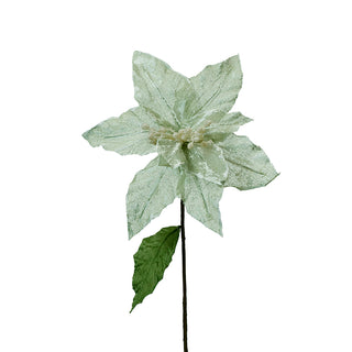 XH766 Nochebuena Verde Sage Frost Mediana 30(D)X47(A) Cm.