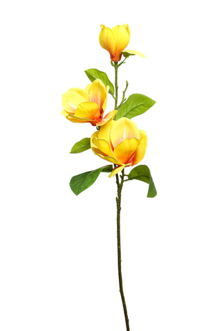 YD09A Rama Magnolia Amarillo Grande