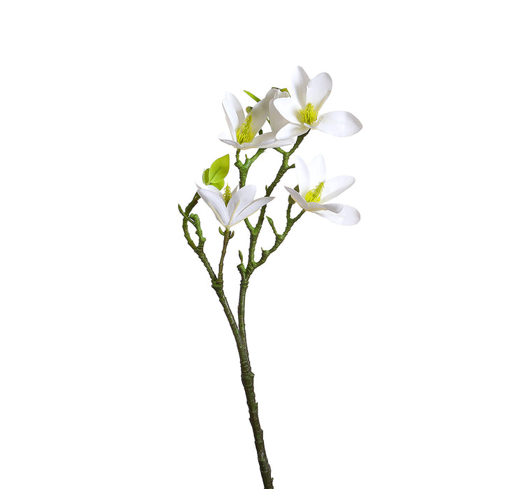 YD17B Rama Magnolia Blanca Mediana 59 Cm.