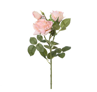 YD19 Rama Rosas Blush Realtouch 74 Cm.
