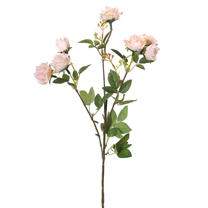 YD19R Rama Mini Rosas Blush 52 Cm.