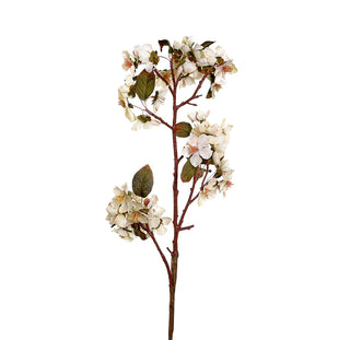 YD24MF Rama Cherry Blossom Marfil 68 Cm.