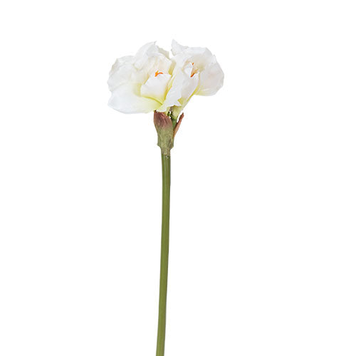YD2856B Rama Kaffir Lily Blanca 60 cm .