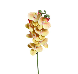 YD28A Rama Orquidea Amarillo Suave 63 Cm.