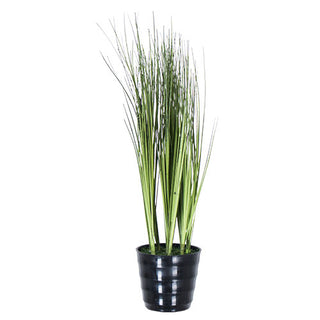 YD3541 Maceta Arreglo Zacate 45 cm .