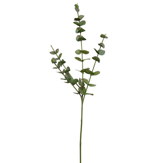 YD39 Rama Eucalipto 40 Cm.