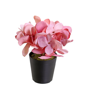 YD40R Maceta Mini Hortencia Palo De Rosa 14 Cm.