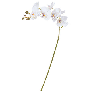 YD427B Rama Orquidea Blanca 74 cm .
