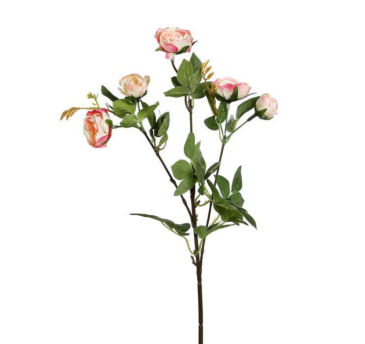 YD42R Rama Mini Rosas Pink Blush 51 Cm.
