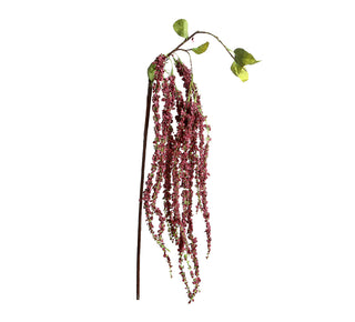 YD68F Rama Wisteria Frambuesa