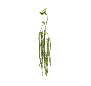 YD68V Rama Wisteria Verde