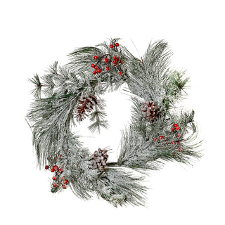 YS2109 Corona Pino Winter Frost 50 Cm.