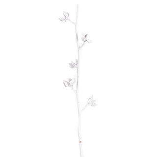 YS750 Rama Decorativa Natural 72 cm .