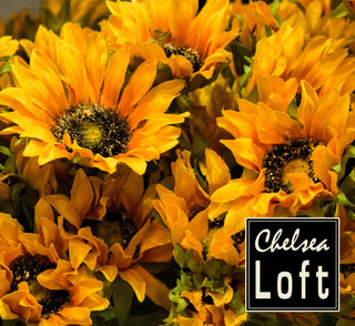 YD2717 Rama Girasoles 68 cm .